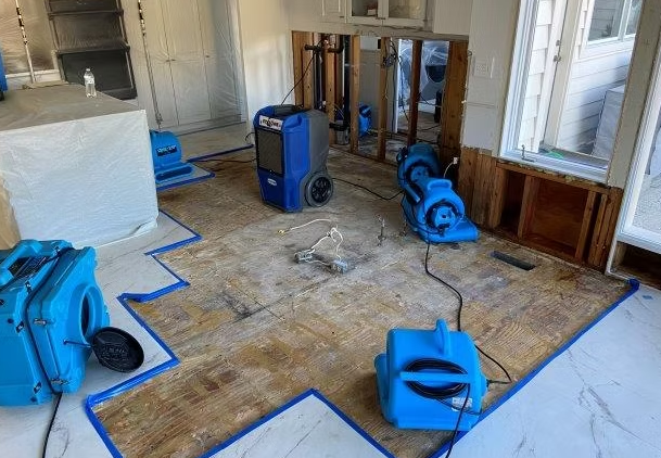 Professional mold remediation equipment with air movers and dehumidifiers